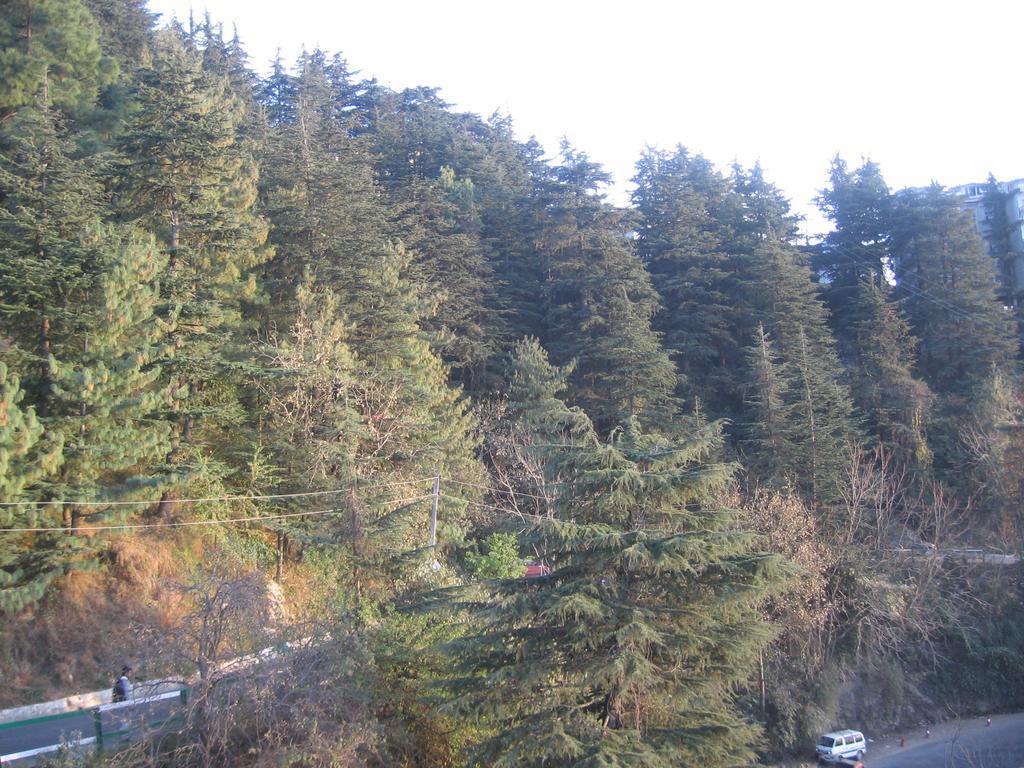 Shimla View Home Екстер'єр фото