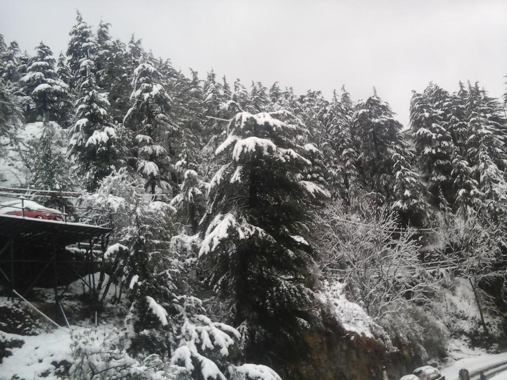 Shimla View Home Екстер'єр фото
